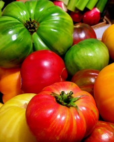 Lauter Bunte und Reife Tomaten